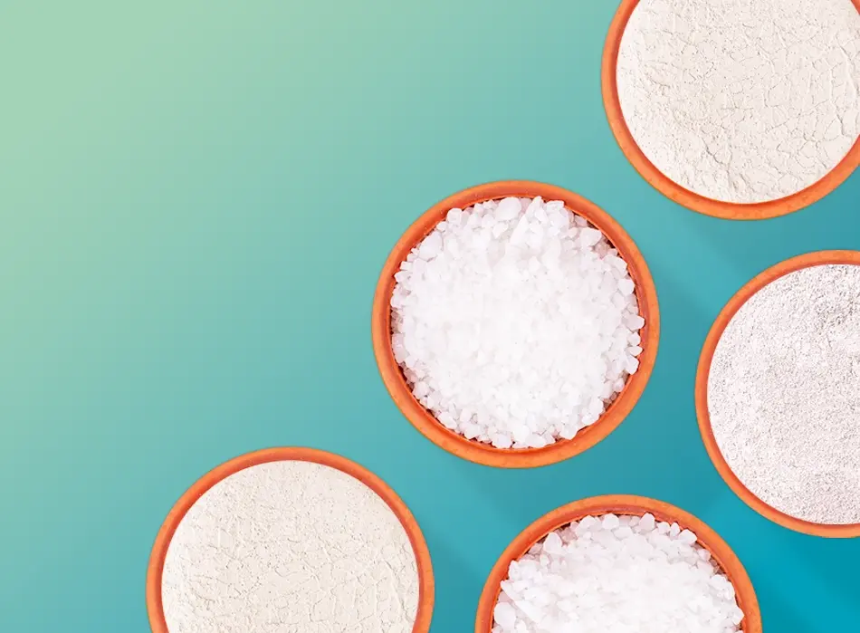 Overhead view of bowls of white granular material yolo1