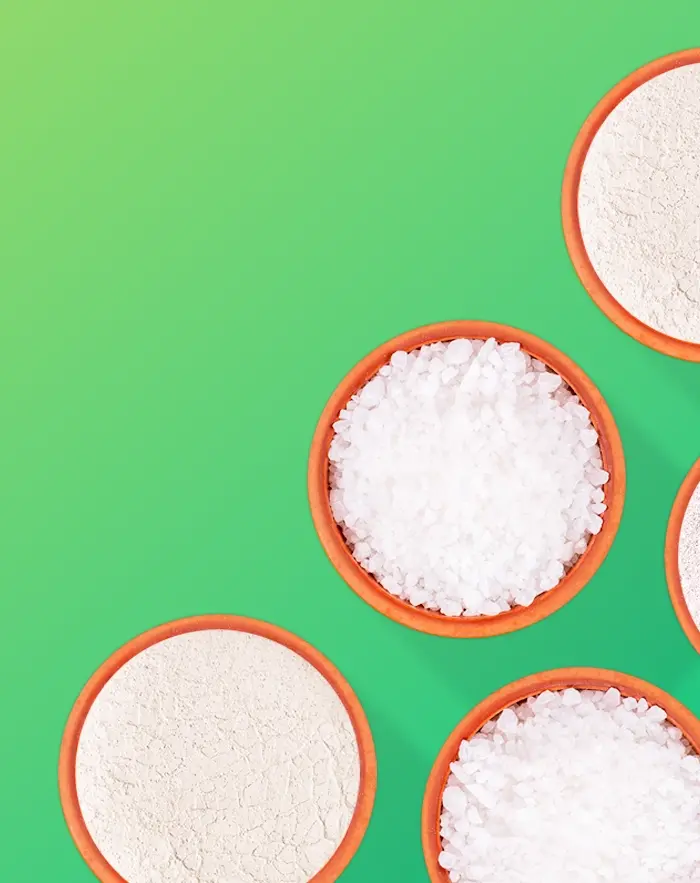 Overhead view of bowls of white granular material yolo2
