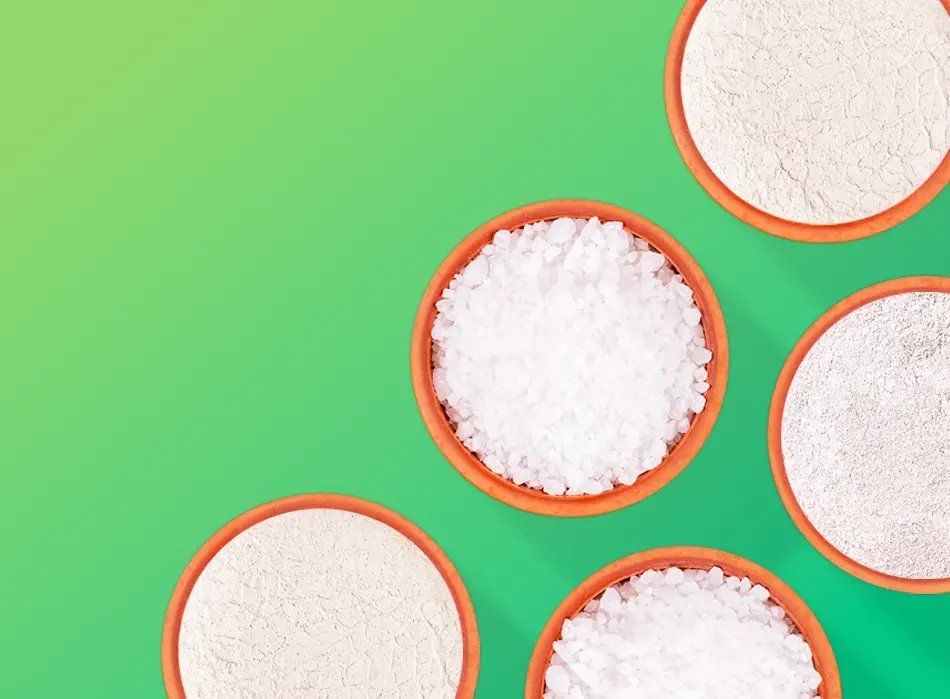 Overhead view of bowls of white granular material yolo1