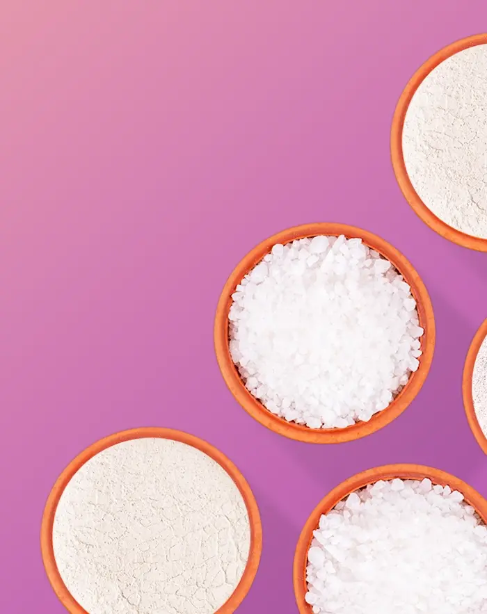 Overhead view of bowls of white granular material yolo2