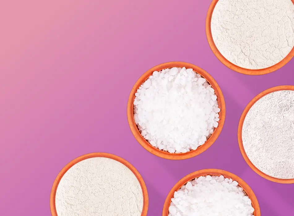 Overhead view of bowls of white granular material yolo1