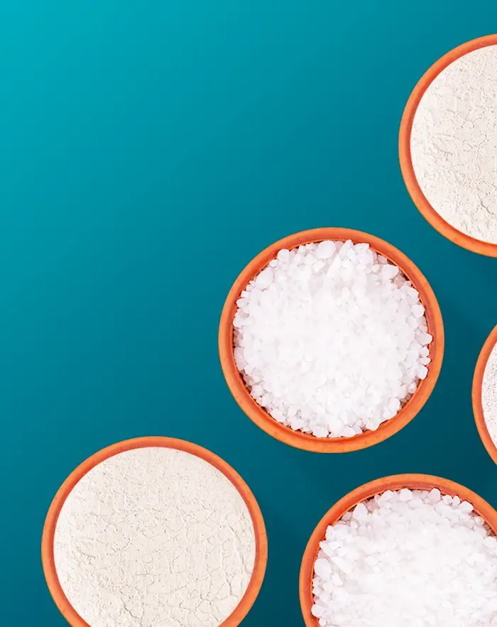 Overhead view of bowls of white granular material yolo1