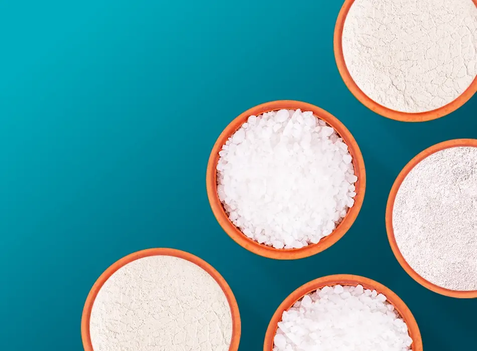 Overhead view of bowls of white granular material yolo1