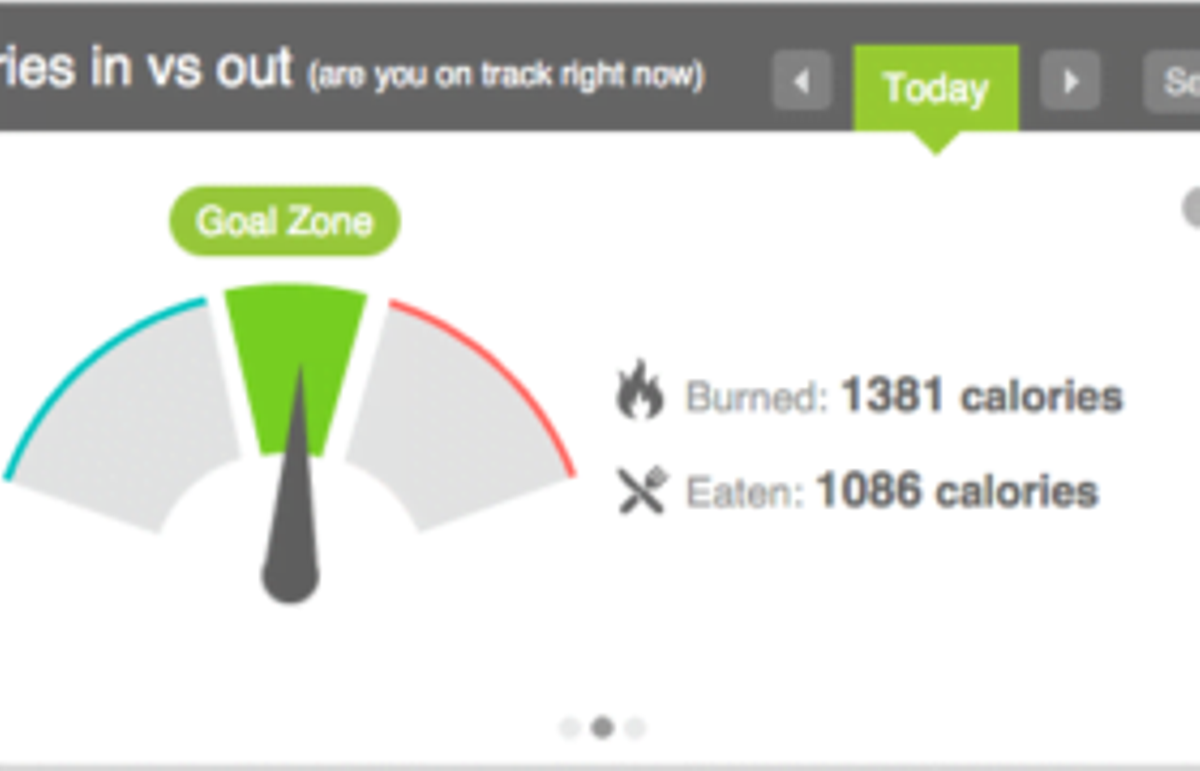 calories in vs calories out gauge