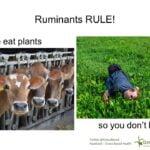 ruminants rule! we (the cows) eat plants so you (the humans) don't have to