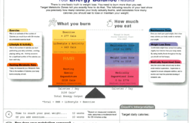 meta check. target caloric zones image