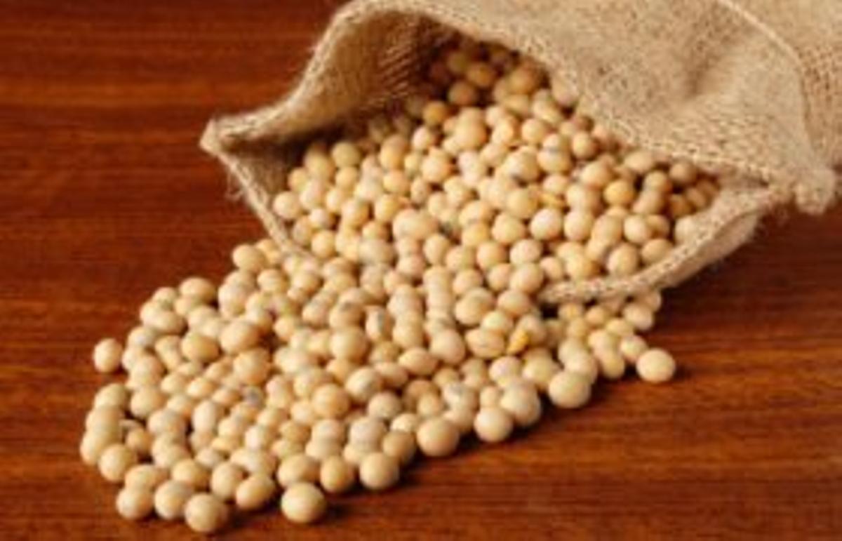 soybeans