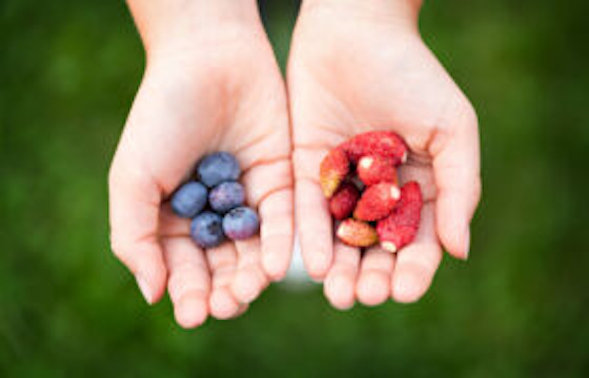 hands holding fruit