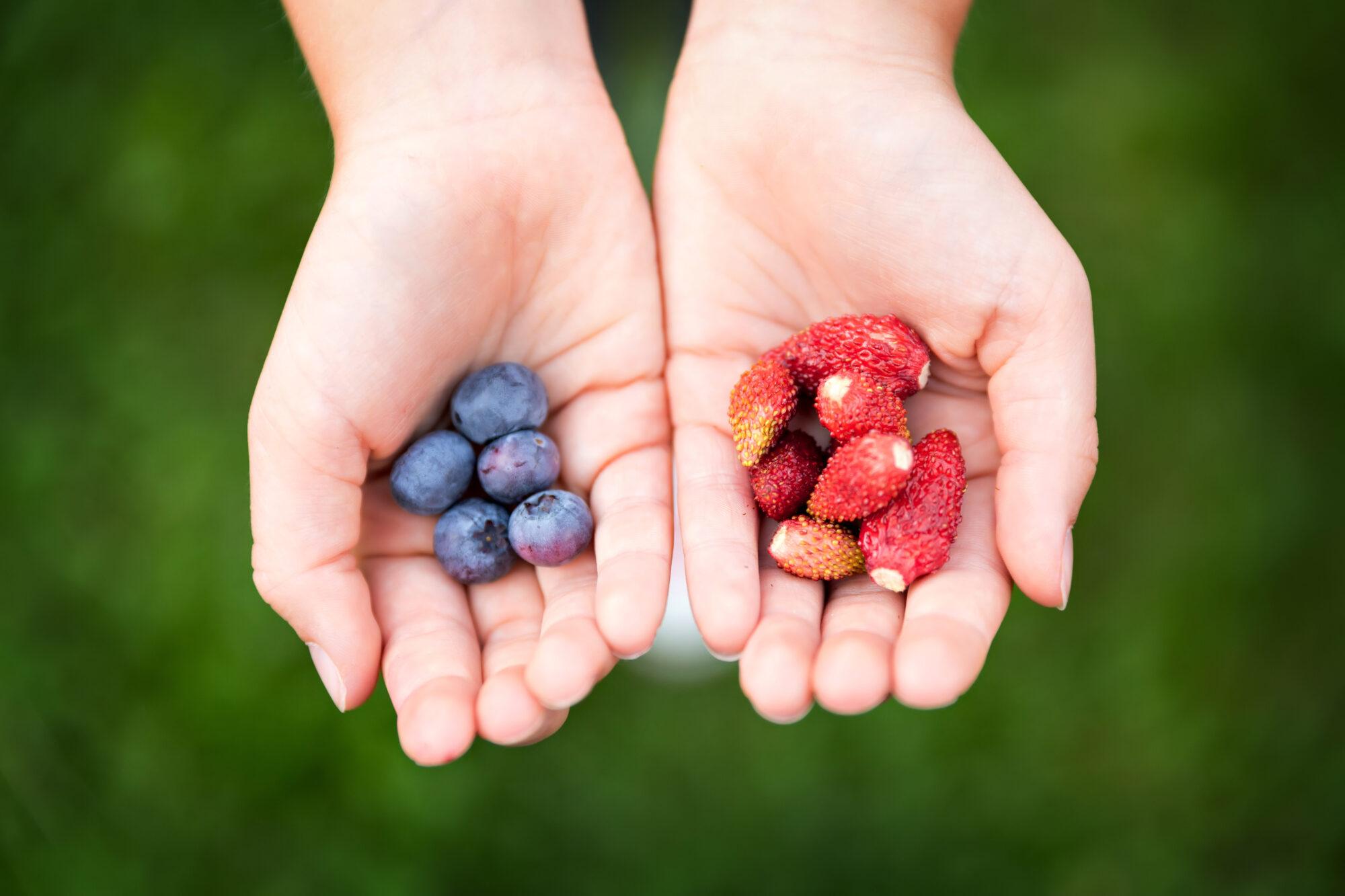 hands holding fruit